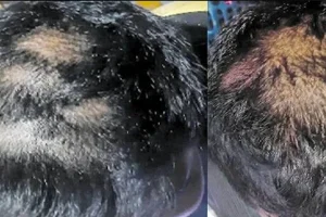 டெலிகொம் நிறுவனத்தின் அரச பங்குகளை அல்லிராஜாவுக்கு விற்பனை செய்ய நடவடிக்கை!