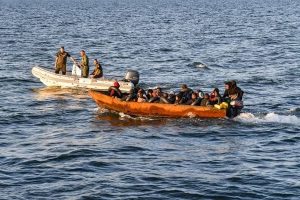 எத்தியோப்பியாவில் நிலவும் வறட்சியால் கால்நடைகள் பலியாகின்றன