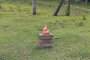 கணவனை கொலை செய்த இளம் மனைவி