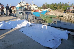 டொராண்டோவில் இருந்து 200 பூனைகள் மீட்பு
