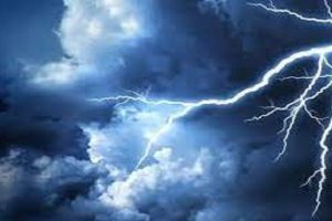 டெக்ஸஸில் நாக்கு துண்டாடப்பட்ட நிலையில் சடலமாக மீட்கப்பட்ட பசு மாடுகள்;நீடிக்கும் மர்மம் !