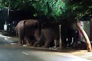 சித்திரை திருவிழாவில் 4 கோவில்களுக்கு ரோப்கார் அமைப்பு
