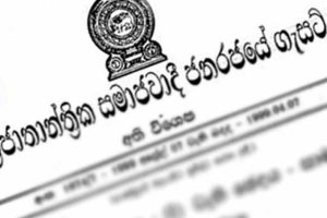 இங்கிலாந்து ஃப்ளீட்வுட் டவுன் கால்பந்து அணி உரிமையாளருக்கு 13 ஆண்டுகள் சிறை தண்டனை