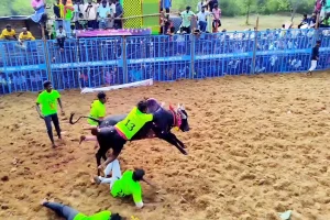 இலங்கையில் எரிபொருள் விலை மேலும் குறைவடைவதற்கான சாத்தியம்!