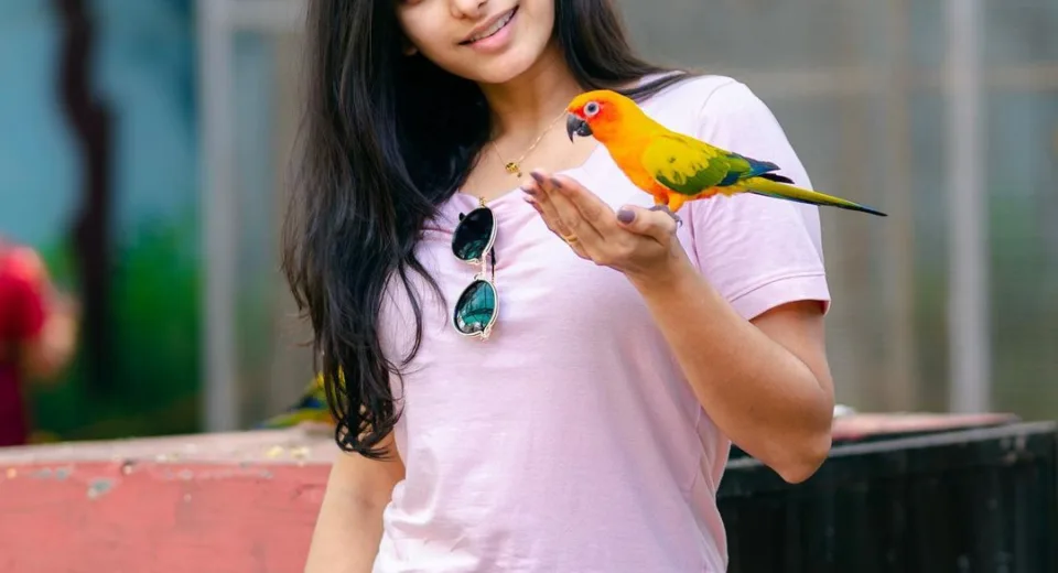 pandina store actress lavanya