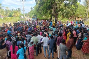 ஐந்து தலை நாகம் படமெடுக்க கிழக்கிலங்கையில் ஒய்யாரமாக அமர்ந்திருக்கின்றாள் நாககன்னி…