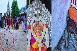 கடற்கரைக்கு நீராட சென்றிருந்த 11 வயது சிறுவனுக்கு ஏற்பட்ட நிலை