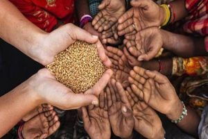 நீச்சல் உடையில் ரசிகர்களைக் கலங்கடித்த தர்ஷா குப்தாவின் புகைப்படங்கள்