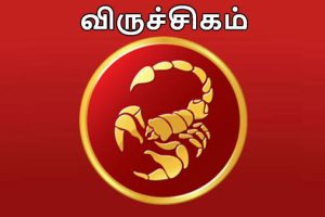 அதிகம் சீரகம் சாப்பிடுபவரா நீங்கள்? உங்களுக்கான பதிவு இது