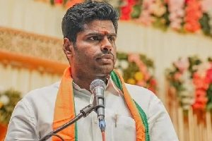 வெடித்தது விவாகரத்து செய்தி! முற்றுப்புள்ளி வைத்தார் அசின்