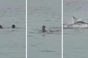 துனிசிய ராணுவ ஹெலிகாப்டர் கடலில் விழுந்து நொறுங்கியது