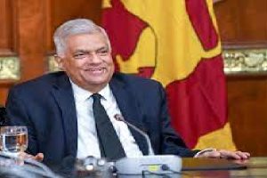 உலகின் பூச்செடிகள் ஆபத்தில் – பாதி அழிந்துபோகும் அபாயம்