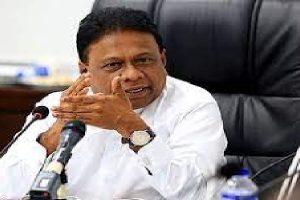 மெக்ஸிகோவில்  வெள்ளை சோள இறக்குமதிக்கு வரி விதிப்பு!