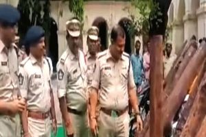 மன்னார் வளைகுடா கடற்கரையில் கரை ஒதுங்கிய கடல் பசு!