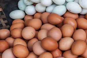 “வாய்ப்பு கிடைத்தால் தளபதி 69 படத்தை இயக்குவேன்..” கௌதம் மேனன்
