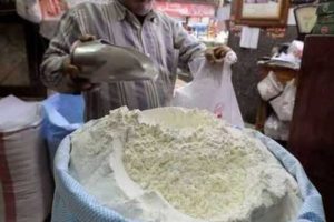 பழங்களுக்கு பதிலாக பாம்புகள்!!!  நெஞ்சம் நடுங்க வைக்கும் பாம்பு பண்ணை