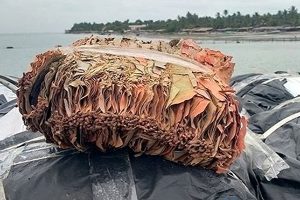 பிரபாகரனின் மரணம், மரபணு பரிசோதனை தொடர்பில் எனக்கு எதுவும் தெரியாது – மைத்திரிபால சிறிசேன