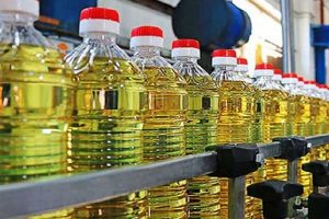 மண் இல்லாமல் வளரும் தாவரங்கள் பற்றி தெரியுமா?