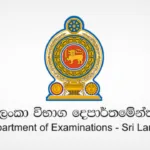 கனடிய விமான நிலையத்தில் மீட்கப்பட்ட சட்டவிரோத மருந்துப் பொருட்கள்