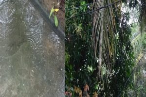 இலங்கையின் பல பகுதிகளில் மழை பெய்யும் என எதிர்வுக்கூறல்!