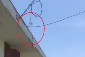 மத்திய வங்கியின்  கையிருப்பு சொத்துக்கள் அதிகரிப்பு!