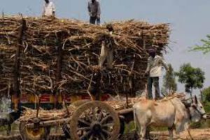 அடமானங்கள் மற்றும் கிரெடிட் கார்டுகளுக்கான அதிகபட்ச வட்டி வரம்பு