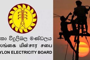 கோழி இறைச்சியின் விலையில் மாற்றம்!
