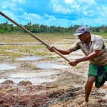 இலங்கையை உலுக்கிய கோர விபத்து – கடவுசீட்டு பெற கொழும்பு சென்ற குடும்பத்திற்கு நேர்ந்த கதி