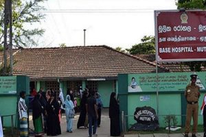 உலகில் முதல் முறையாக நாய்-நரி கலப்பு இனம் கண்டுபிடிப்பு!