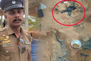 நாடாளாவிய ரீதியில் போராட்டத்தை முன்னெடுக்கும் வைத்திய அதிகாரிகள்!