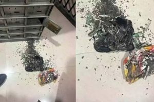 திருகோணமலை:கிராமத்துக்குள் புகுந்து யானைகள் அட்டகாசம் – அச்சத்தில் அப்பகுதி மக்கள்