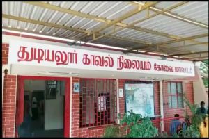 உலகின் மிக வயதான நாய் 31 வயதில் இறப்பு