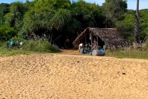 பிரான்சில் பயங்கரவாத தாக்குதல்: 10 பேர் கைது