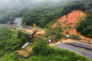 $41 மில்லியனிற்கு பங்குகளை விற்ற ஆப்பிள் தலைமை நிர்வாக அதிகாரி