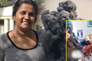 ஸ்பெயினில் கடத்தல் வலையமைப்பிலிருந்து மீட்கப்பட்ட 400க்கும் மேற்பட்ட விலங்குகள்