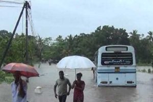 தனியார் பஸ் கட்டணங்களை உயர்த்த திட்டம்!