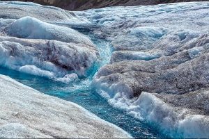 ஜெர்மனியில் பல லட்ச அகதிகளுக்கு அதிர்ச்சி – நிராகரிக்கப்பட்ட அகதி விண்ணப்பம்