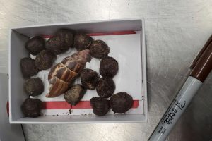ரஷ்யாவிலிருந்து யுரேனியத்தை வாங்கியது பங்களாதேஷ்