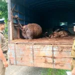 உக்ரைனுக்கு முதல் உத்தியோகபூர்வ விஜயம் மேற்கொண்ட டேவிட் கேமரூன்