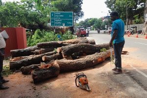 சீனியை 300ரூபாவிற்கு கொள்முதல் செய்யது 275ரூபாவிற்கு எவ்வாறு விற்பது? வவுனியா வர்த்தகர்கள் கேள்வி