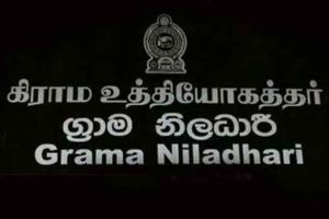 2023இல் அதிக லாபம் ஈட்டிய 7 இந்திய படங்கள்.. 3 தமிழ் படங்களும் இருக்கு….