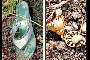 மெக்சிகோ கடற்பரப்பில் தவறி விழுந்த நபரை தேடும் நடவடிக்கை தீவிரம்!