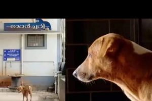 ஜனாதிபதி ரணில் விக்கிரமசிங்கவுக்கு பறந்த அவசரக் கடிதம்!