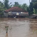 டெங்கு நோய்க்கு மேலதிகமாக பரவும் வேறு நோய்கள்: மருத்துவர்கள் விடுத்துள்ள எச்சரிக்கை