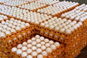 பிரித்தானியா நோக்கி சென்ற அகதிகள் – 115 பேர் கடலில் இருந்து மீட்பு