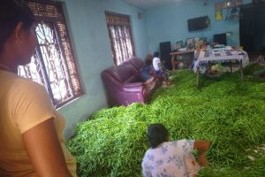 இன்று ஐபிஎல் மினி ஏலம் – 77 வீரர்களை தேர்வு