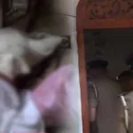 கனடிய வரலாற்றில் நிகழ்ந்த மிகப்பெரிய தங்கக் கொள்ளை – சிக்கிய சந்தேக நபர்கள்