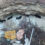 தமிழ் நாட்டில் அதிர்ச்சி சம்பவம் – 40 அடி ஆழமுள்ள கிணற்றுக்குள் வீசப்பட்ட 4 நாய்க்குட்டி
