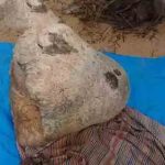 ஹாங்காங் உளவுத்துறைக்கு உதவியதாக மூவர் மீது பிரித்தானியா குற்றச்சாட்டு