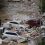சீனாவில் பெய்த கனமழையால் ஏற்பட்ட வெள்ளம் மற்றும் நிலச்சரிவில் சிக்கி 5 பேர் பலி